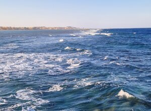 20231117_155646.jpeg 20231117_155646.jpeg