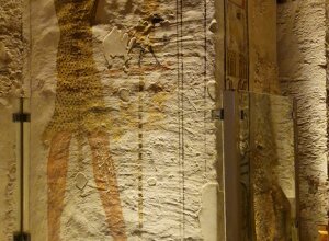 20231121_155631.jpeg 20231121_155631.jpeg