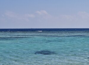 20231117_155612.jpeg 20231117_155612.jpeg