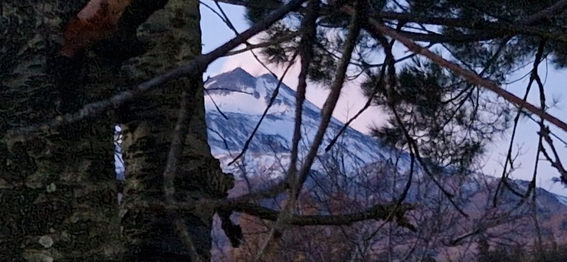 20250101_171840.jpeg 20250101_171840.jpeg