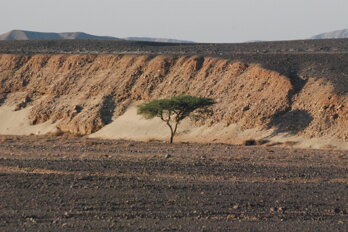 dsc_0309.jpeg dsc_0309.jpeg