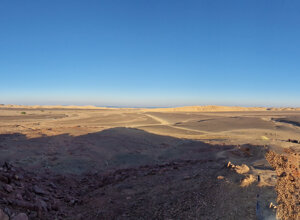 20231119_164111.jpeg 20231119_164111.jpeg