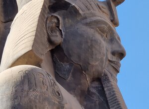 20231121_130455.jpeg 20231121_130455.jpeg