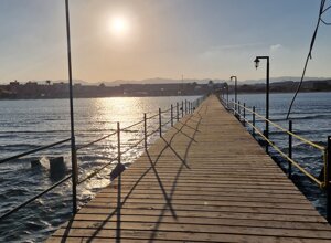 20231119_160804.jpeg 20231119_160804.jpeg