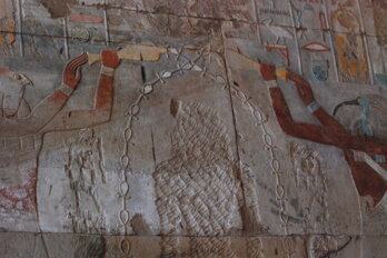 dsc_0464.jpeg dsc_0464.jpeg