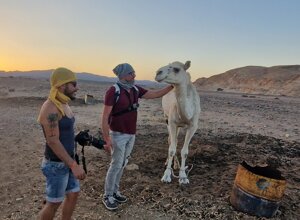 20231119_164125.jpeg 20231119_164125.jpeg