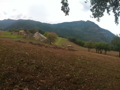 anmp0053.jpeg anmp0053.jpeg