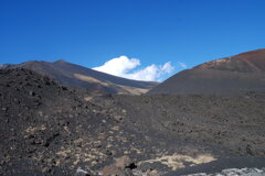 dsc_0026.jpeg dsc_0026.jpeg