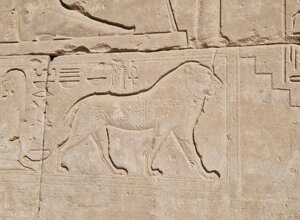 20231121_124549.jpeg 20231121_124549.jpeg