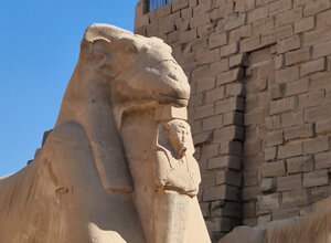 20231121_102759.jpeg 20231121_102759.jpeg