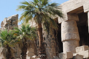 dsc_0448.jpeg dsc_0448.jpeg