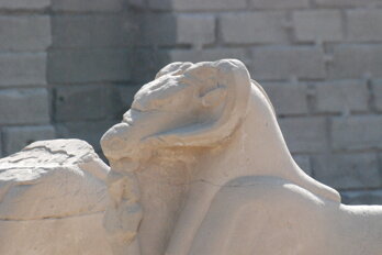 dsc_0348.jpeg dsc_0348.jpeg