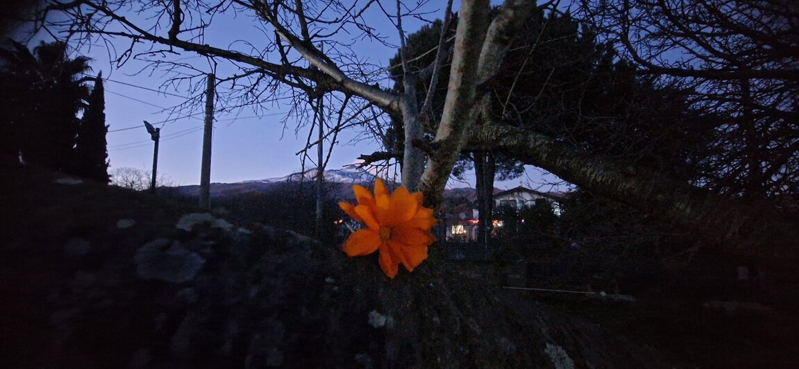 20250101_171905.jpeg 20250101_171905.jpeg