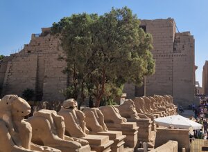 20231121_101857.jpeg 20231121_101857.jpeg