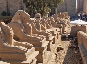 20231121_102250.jpeg 20231121_102250.jpeg