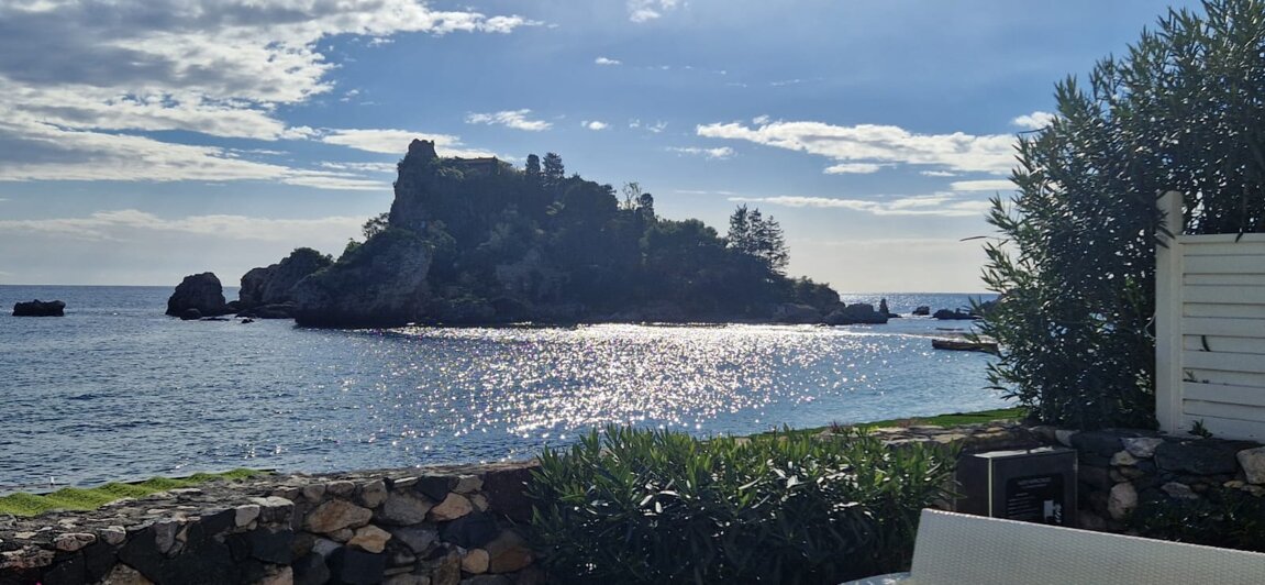 immagine whatsapp 2025-01-29 ore 17.16.45_087aff20.jpeg immagine whatsapp 2025-01-29 ore 17.16.45_087aff20.jpeg