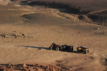 dsc_0305.jpeg dsc_0305.jpeg