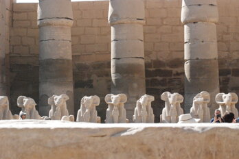 dsc_0365.jpeg dsc_0365.jpeg