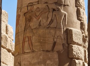 20231121_104252.jpeg 20231121_104252.jpeg