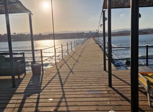 20231117_155658.jpeg 20231117_155658.jpeg