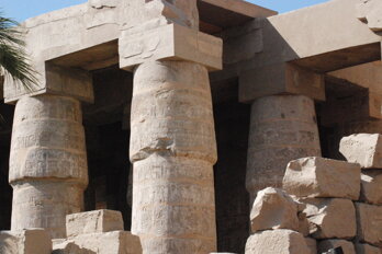 dsc_0447.jpeg dsc_0447.jpeg