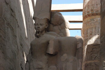 dsc_0481.jpeg dsc_0481.jpeg