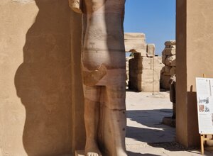 20231121_111500.jpeg 20231121_111500.jpeg