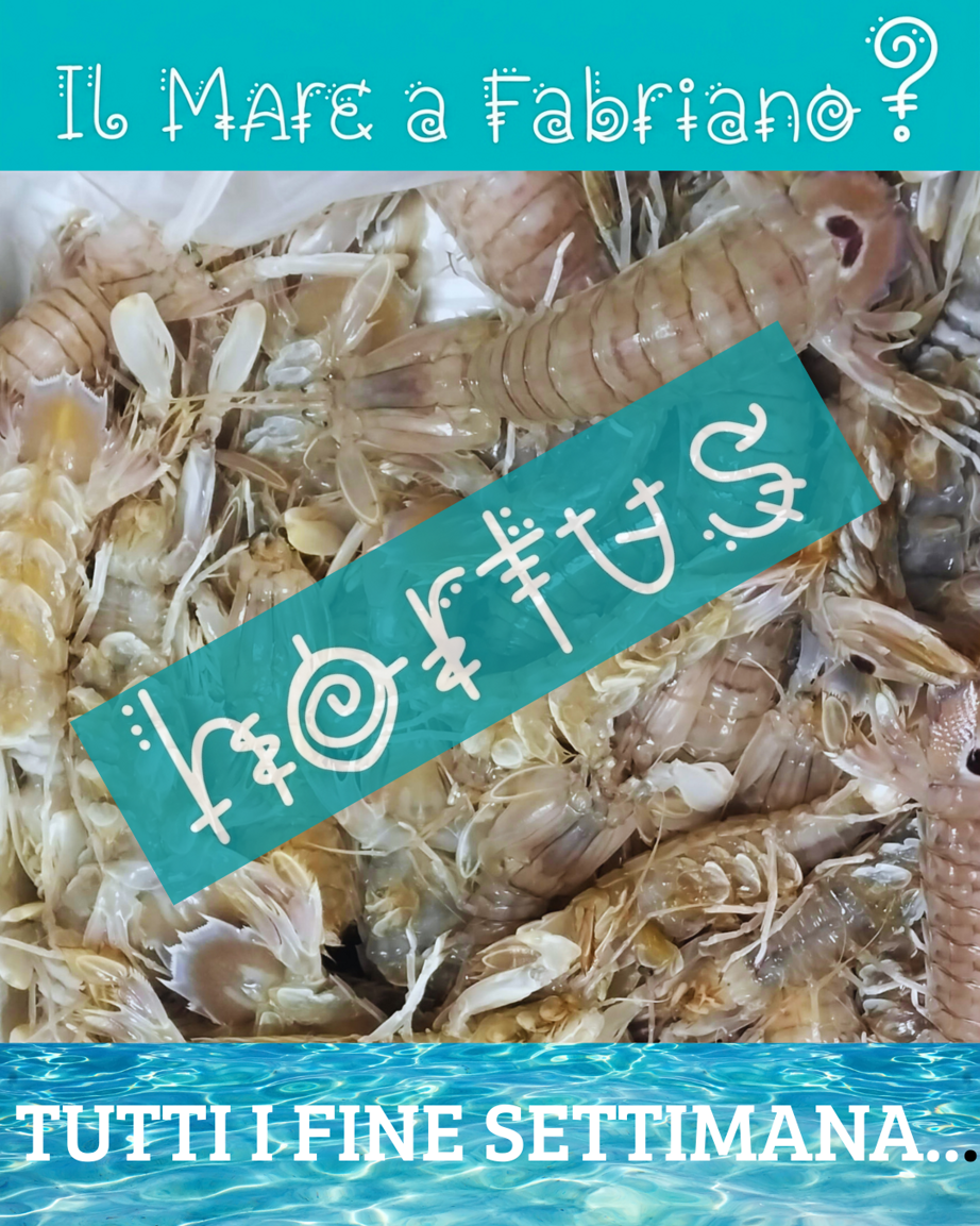 tutti i fine settimana... (1)