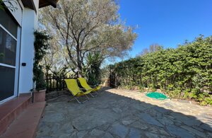 img_2486.jpeg