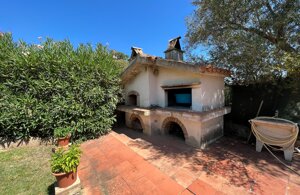 img_2494.jpeg