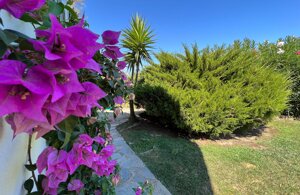 img_2465.jpeg