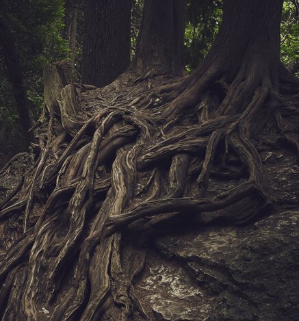 3590d506a7d9d6f690625b79de08a69e9d6367de 3590d506a7d9d6f690625b79de08a69e9d6367de