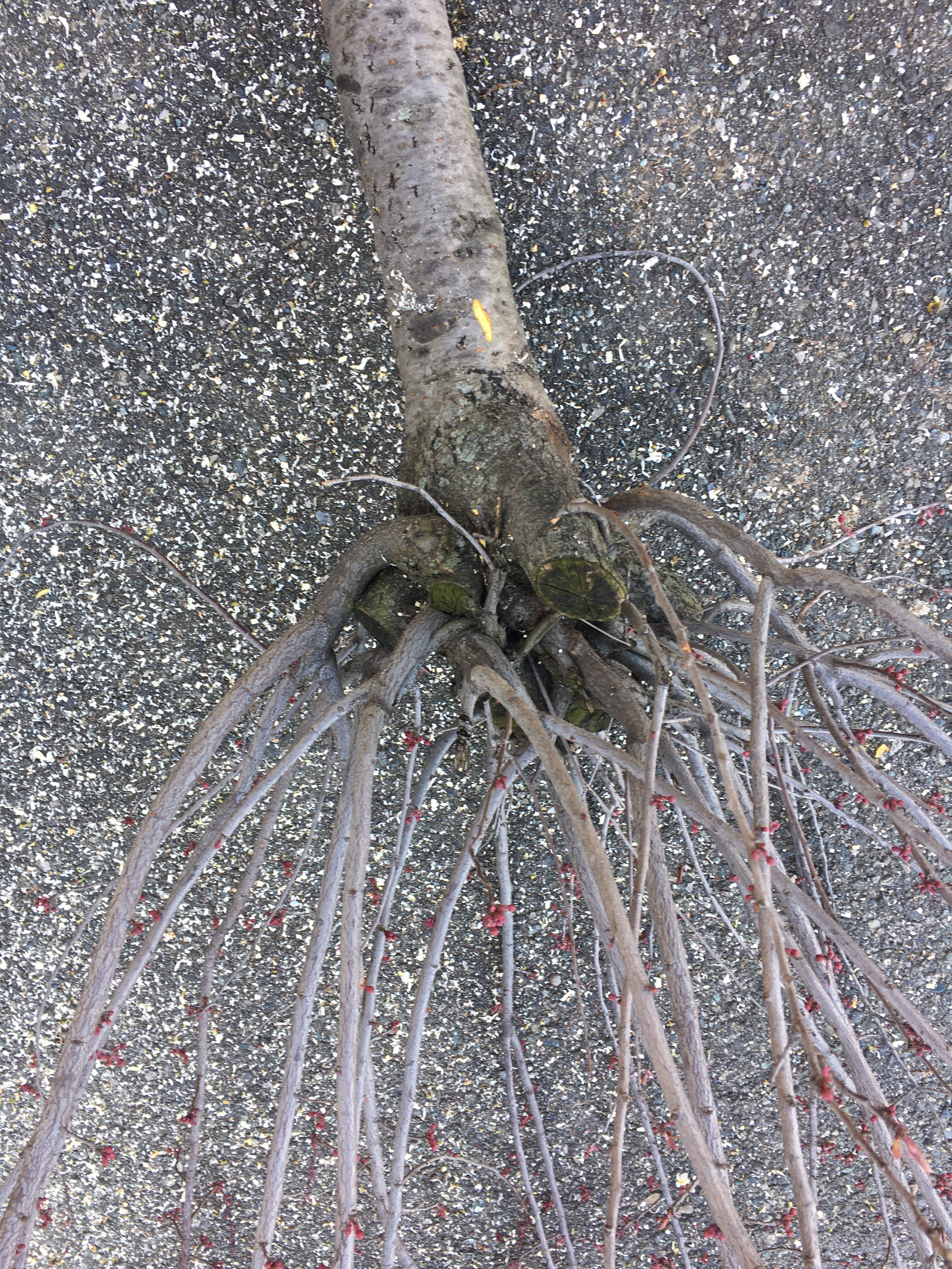 img_4108.jpeg img_4108.jpeg