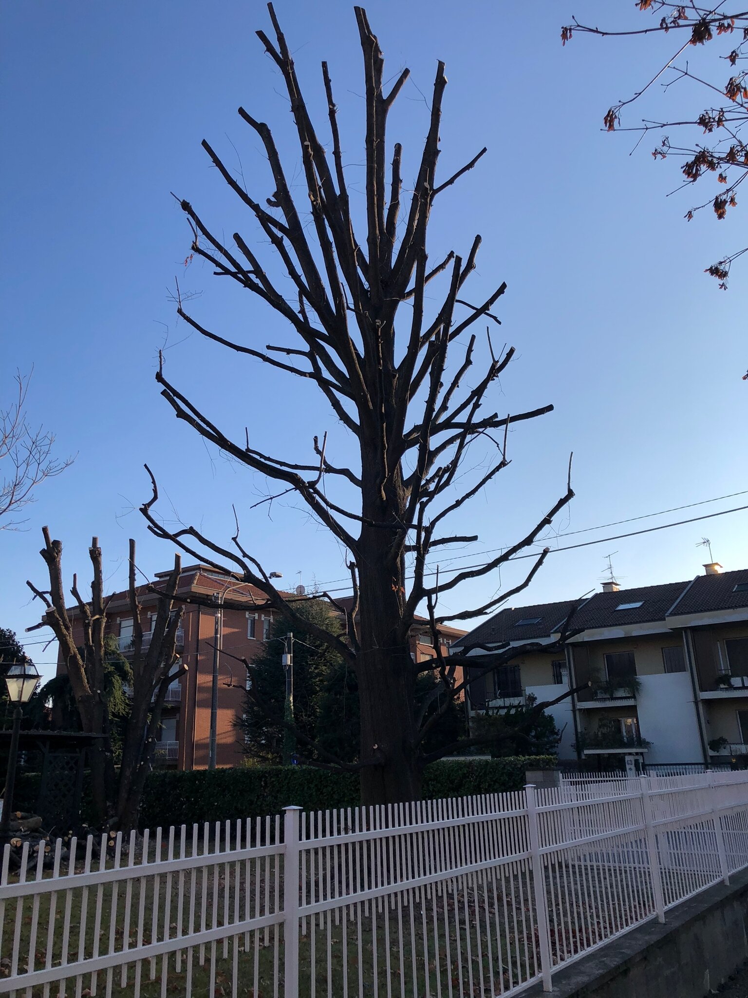 photo-2025-08-25-11-07-37.jpeg photo-2025-08-25-11-07-37.jpeg