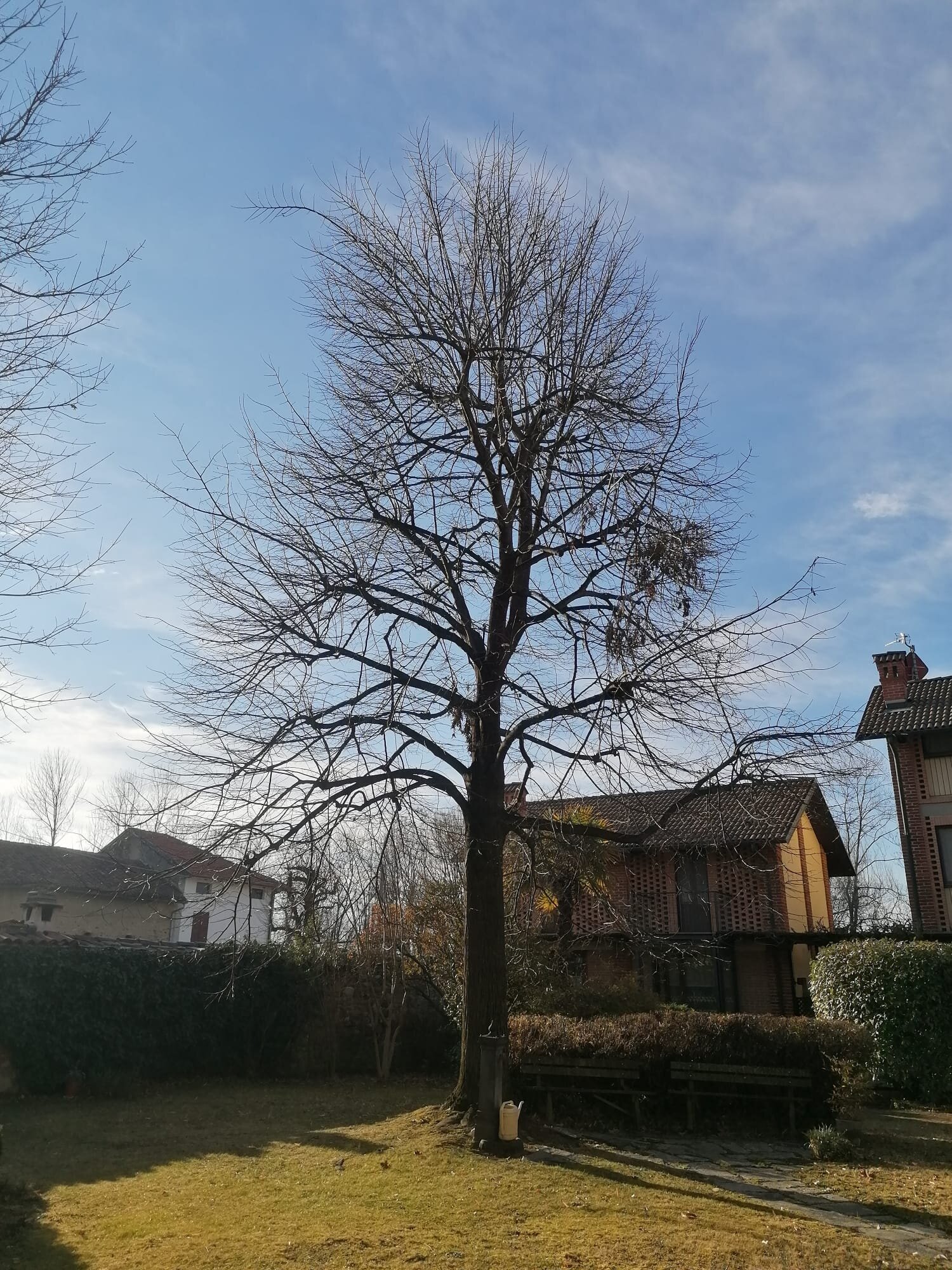 photo-2025-08-25-11-14-07.jpeg photo-2025-08-25-11-14-07.jpeg