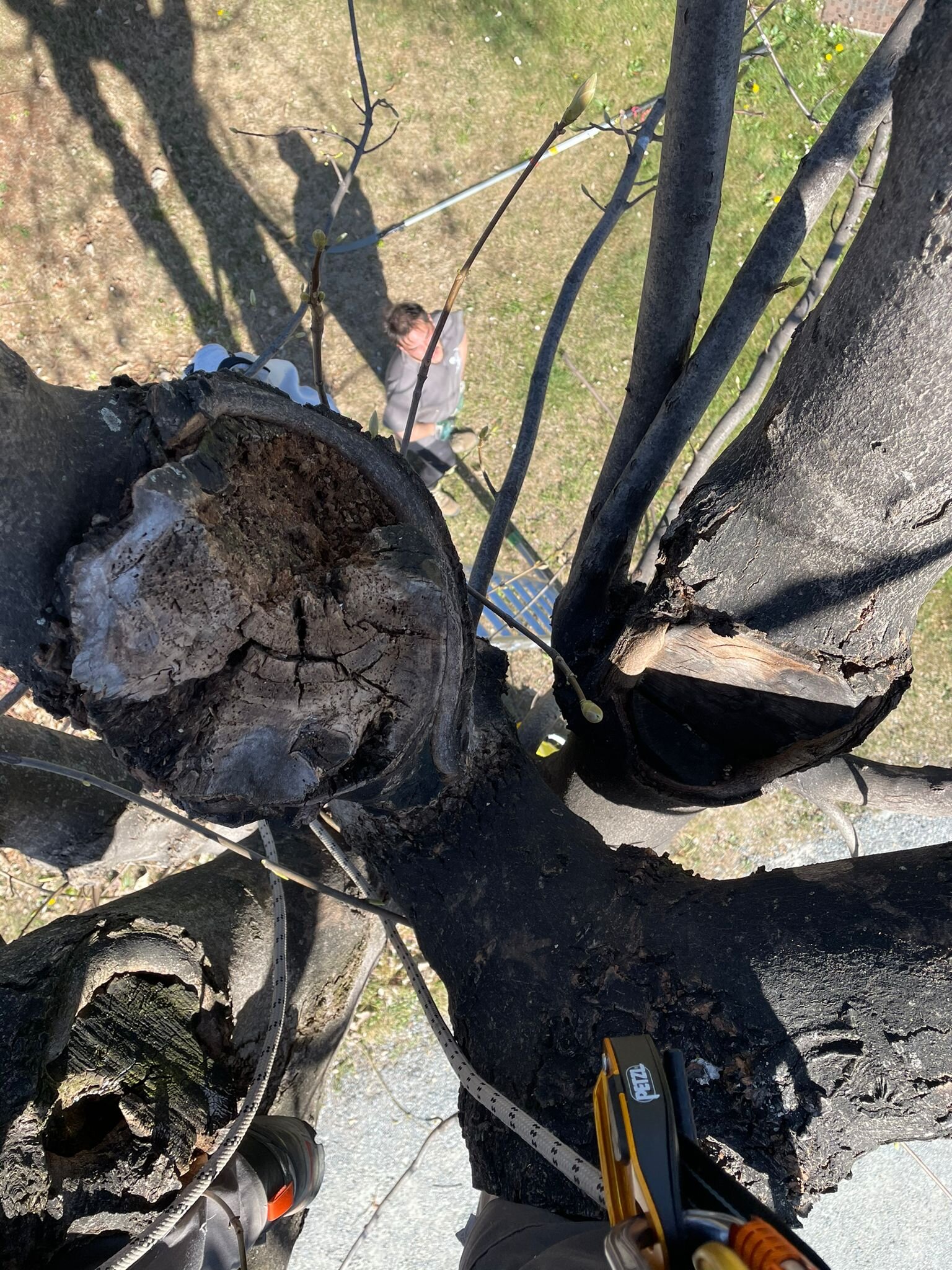 photo-2025-08-25-11-27-05.jpeg photo-2025-08-25-11-27-05.jpeg