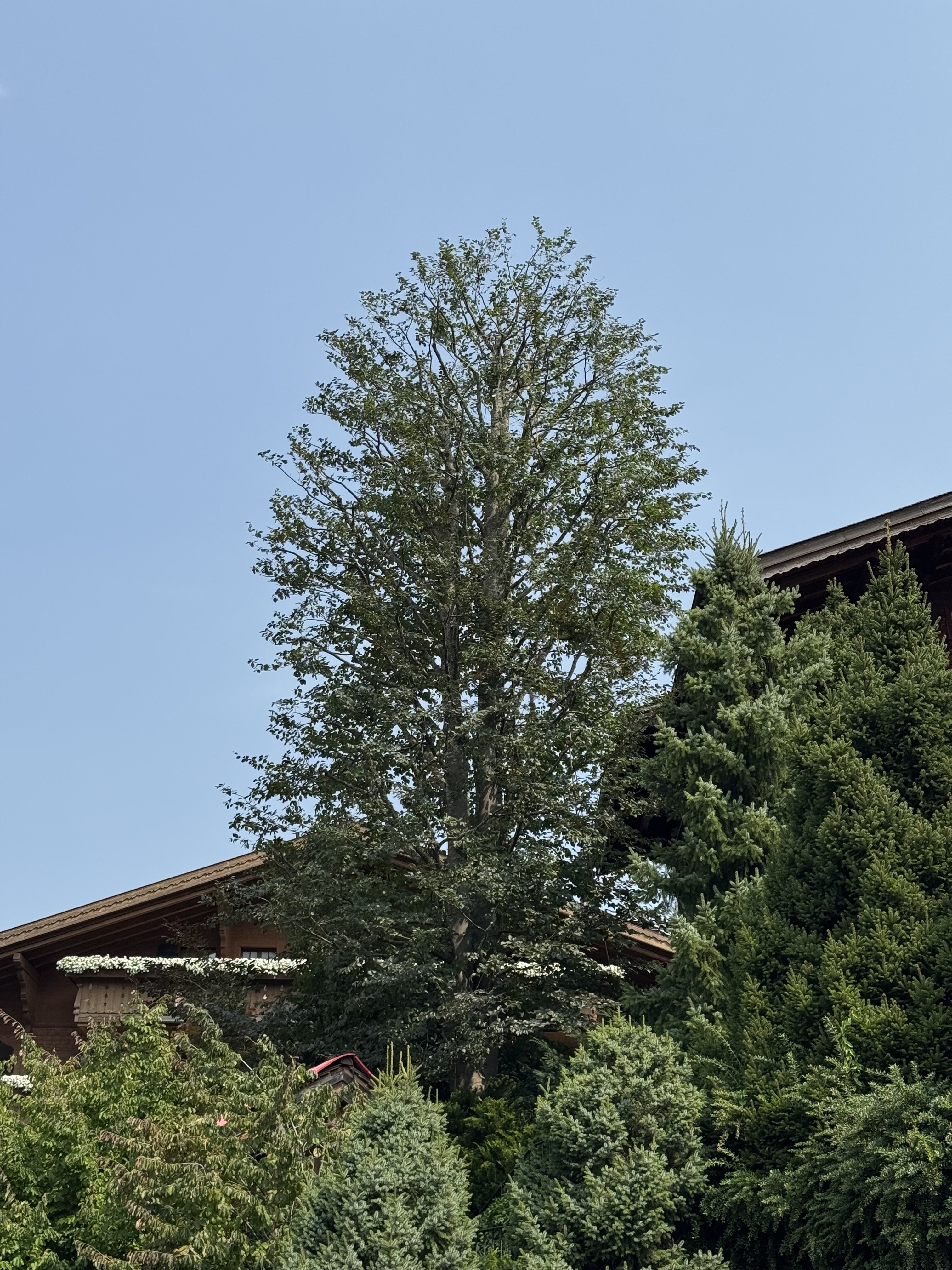 img_5916.jpeg img_5916.jpeg