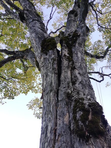 d8ac62d894487d6297aeb8d2bd67a6698849edcc.jpeg d8ac62d894487d6297aeb8d2bd67a6698849edcc.jpeg