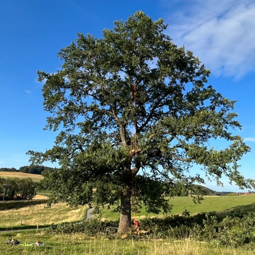 d8ec8e011e5f49bd5368f88ff59dfd0e639ac085