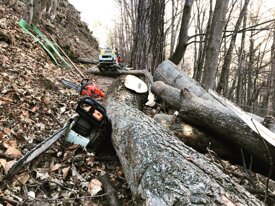 e399d0675b869f94da7e943494bdeb4bc2295d8d e399d0675b869f94da7e943494bdeb4bc2295d8d