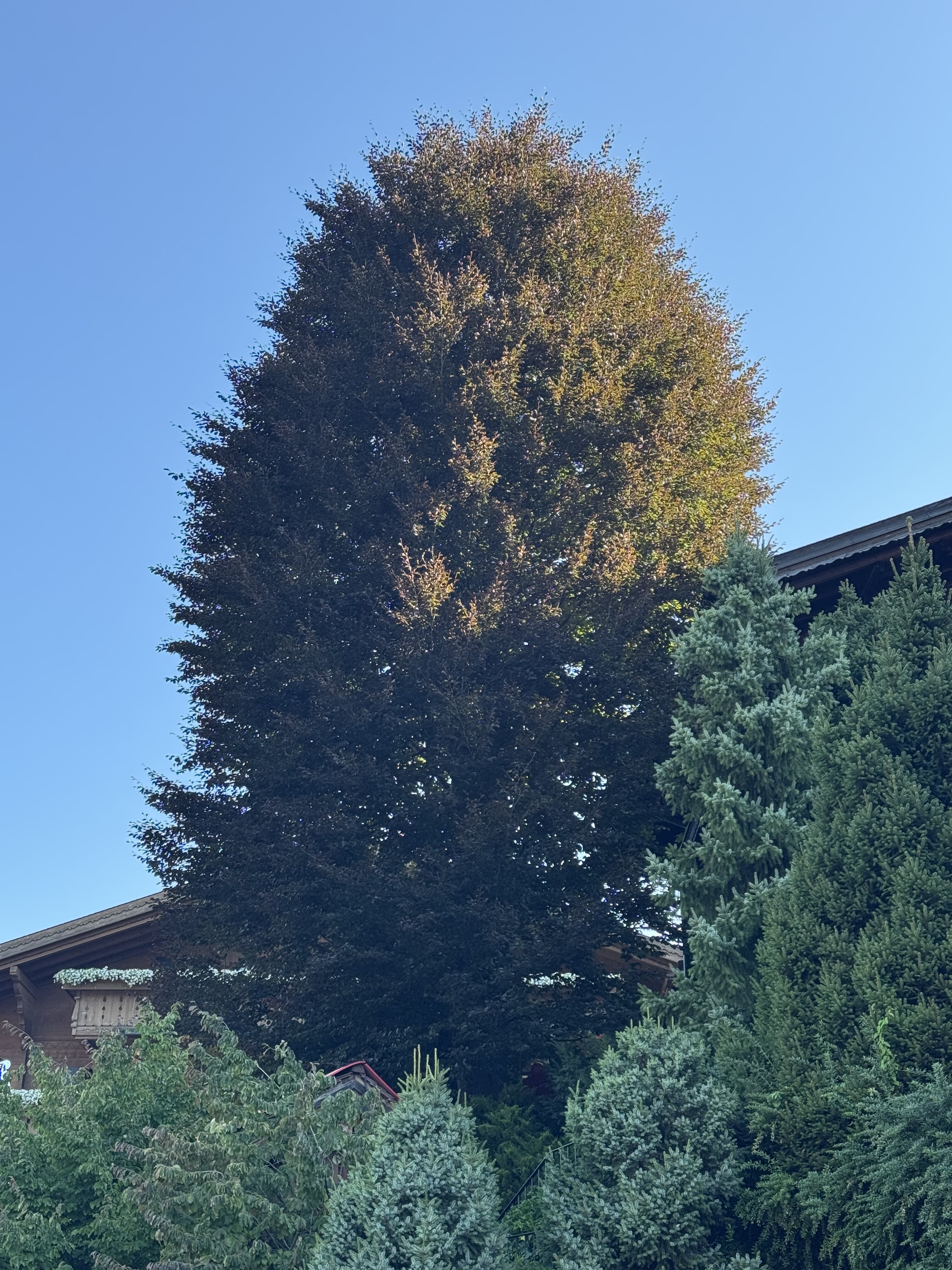 img_5893.jpeg img_5893.jpeg