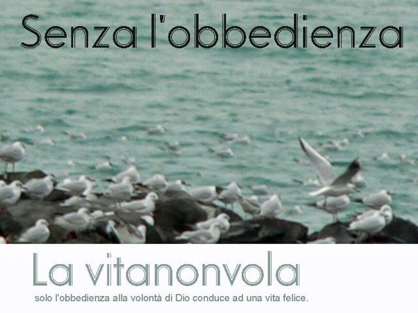 b6fdf415-1d97-421d-9bcb-0878c7a0c0e8