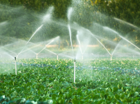 impianti irrigazione giardini 