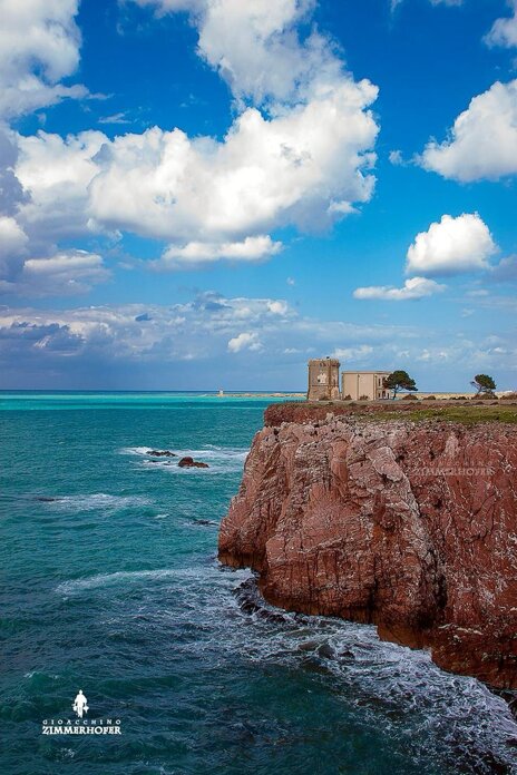 torre alba.jpeg