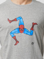 spiderman-trinacria-man