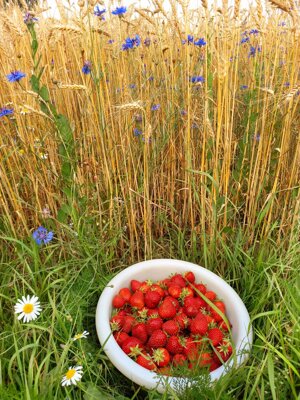 strawberry
