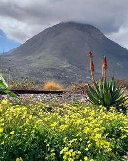 whatsapp image 2026-03-21 at 22.30.34.jpeg