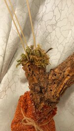 wooden-decoration-dry-flowers