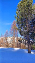 on-the-way-to-livigno