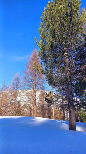 on-the-way-to-livigno